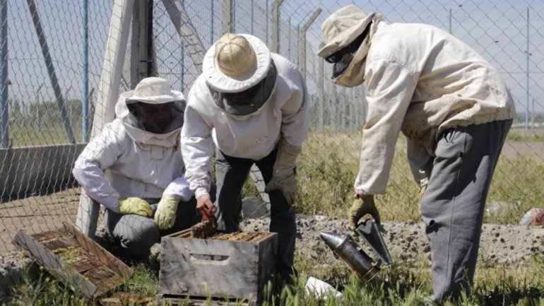 agroquimicos
