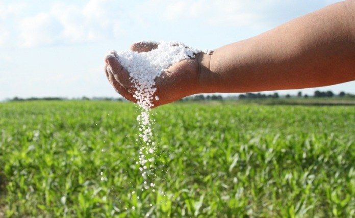 Profertil Presenta Su Tecnología De Fertilización En El Congreso De Aapresid Agrolink 8457