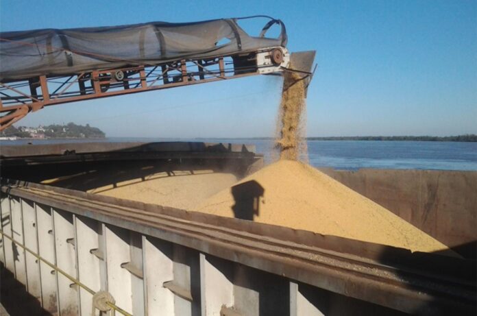 exportaci%C3%B3n-de-soja-retenciones-696x461