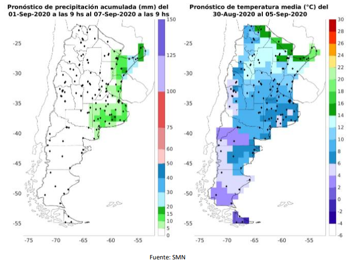 Peligra la buena condici&oacute;n del garbanzo si las condiciones clim&aacute;ticas no mejoran en C&oacute;rdoba