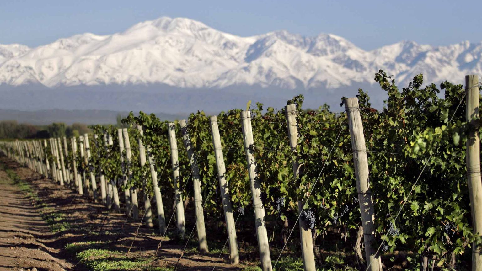 El paraje rural de 10 mil habitantes en Mendoza que es la meca del vino en Argentina