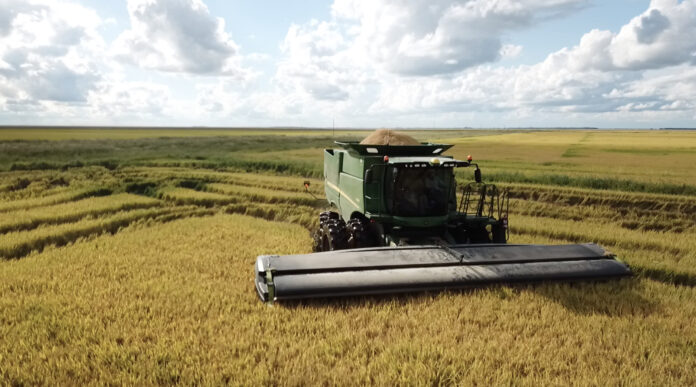Efecto sequ&iacute;a: mientras caen las exportaciones agroindustriales, el Estado aumenta su participaci&oacute;n en la renta agr&iacute;cola