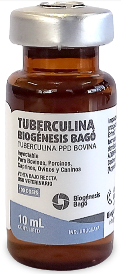 tuberculina