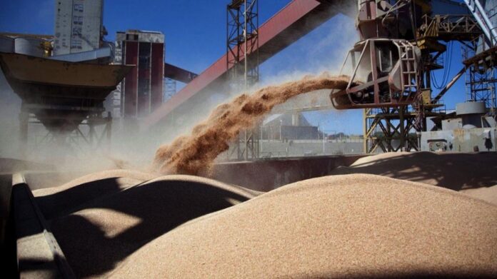 exportaciones de granos