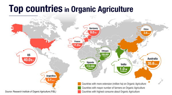 agricultura organica