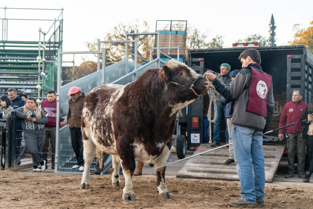 expo rural