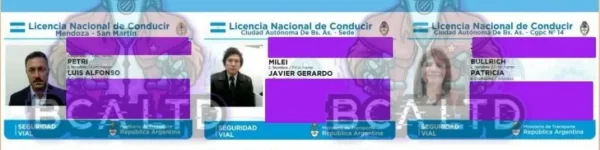 robo licencias