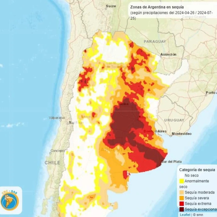 trigo sequía