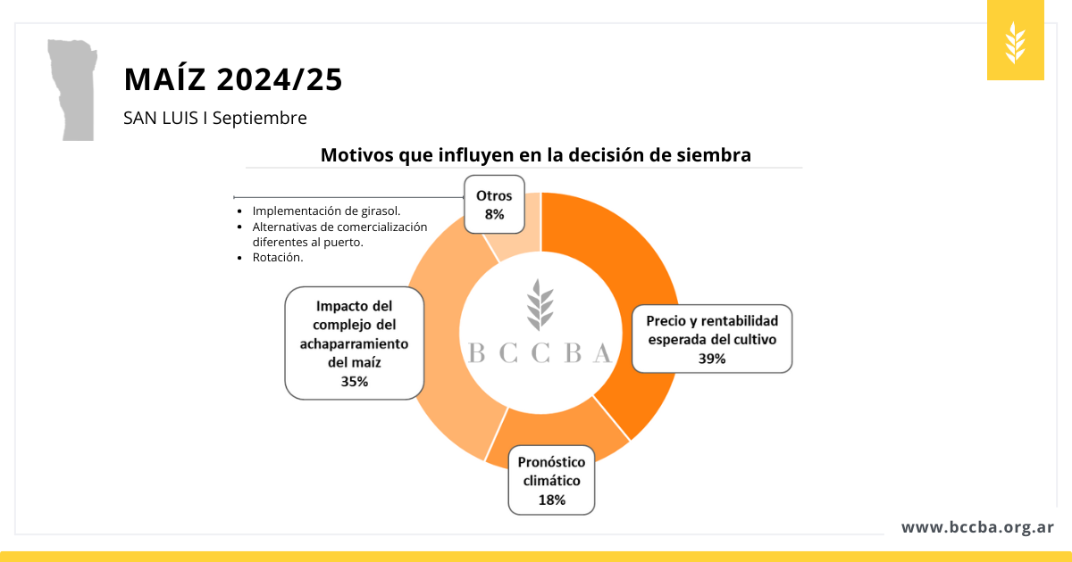 girasol 2 