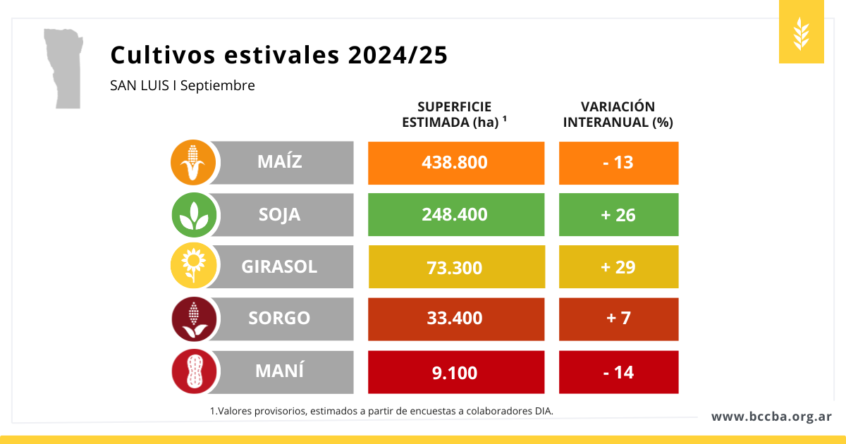 girasol grafico 