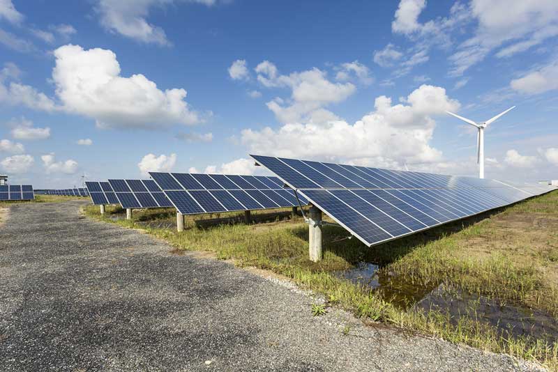 Una de las principales empresas lácteas argentinas logró bajar la huella de carbono y el 63% de la energía utilizada es de origen renovable