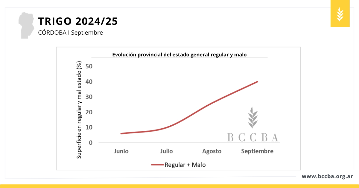 trigo