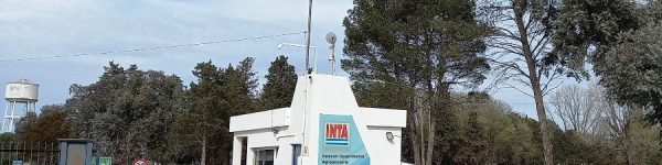 inta