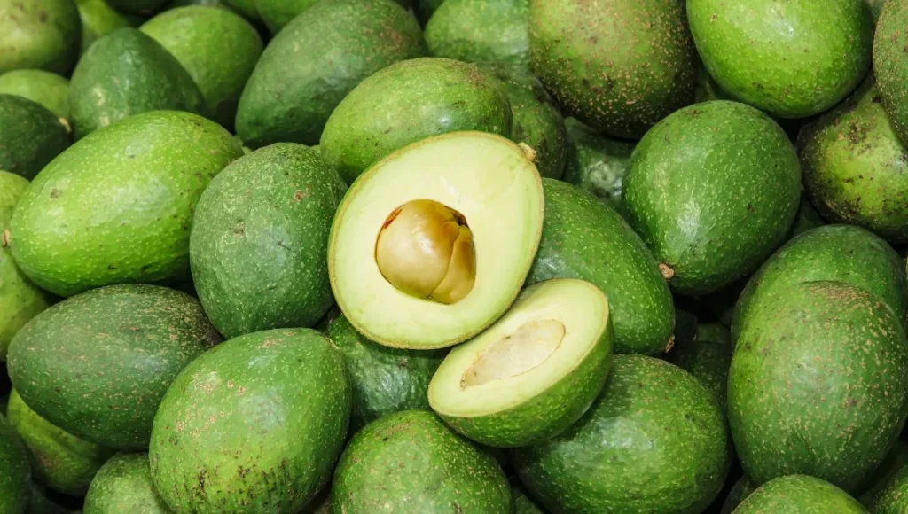 palta