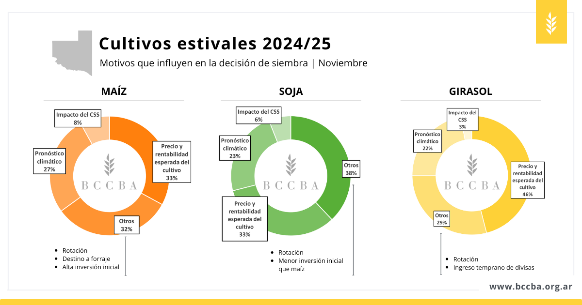 girasol