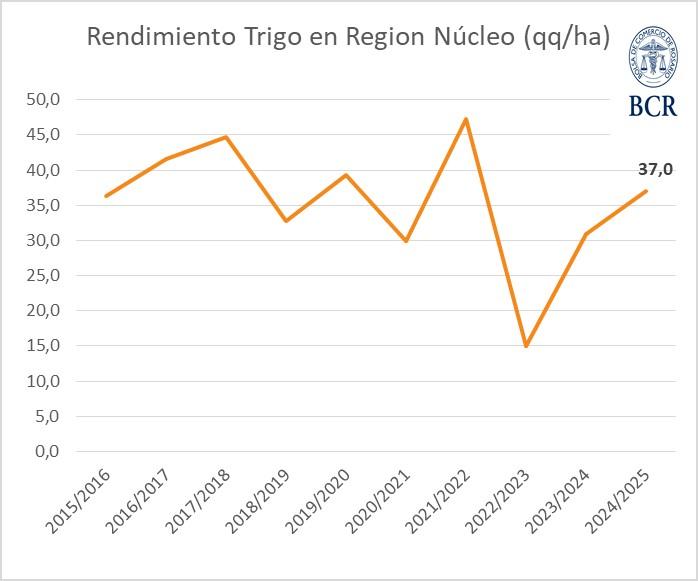 trigo