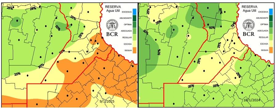 region nucleo