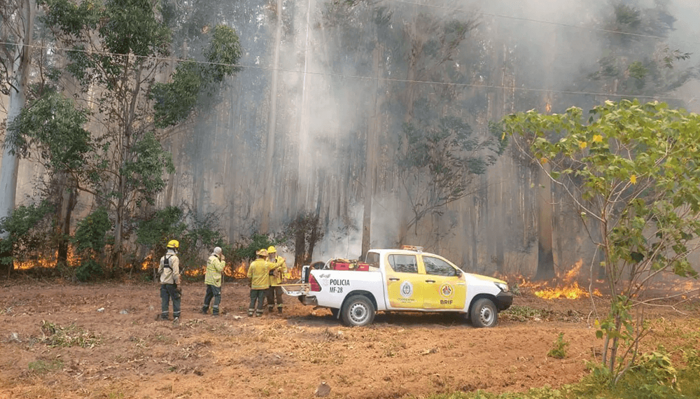 incendios