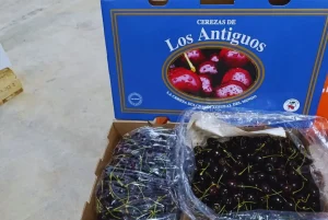 cereza