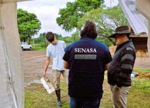 senasa