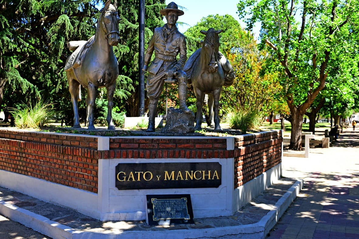 gato mancha