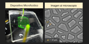 microchip