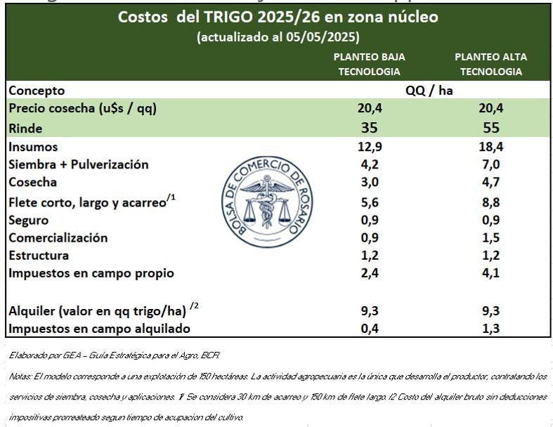 trigo