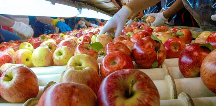manzanas 