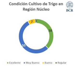 region nucleo 