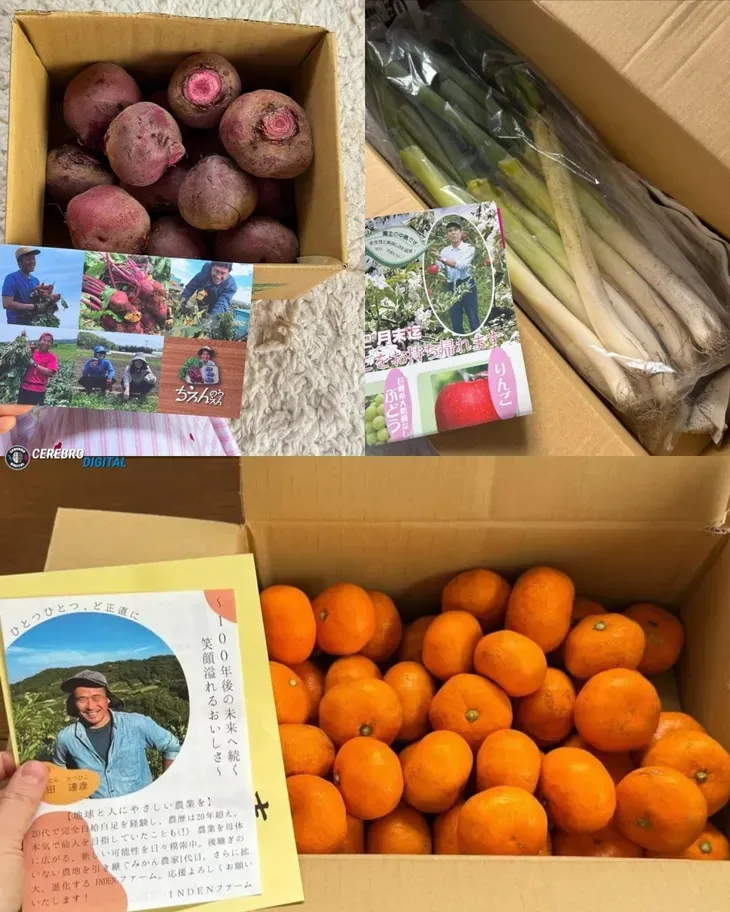 fruta