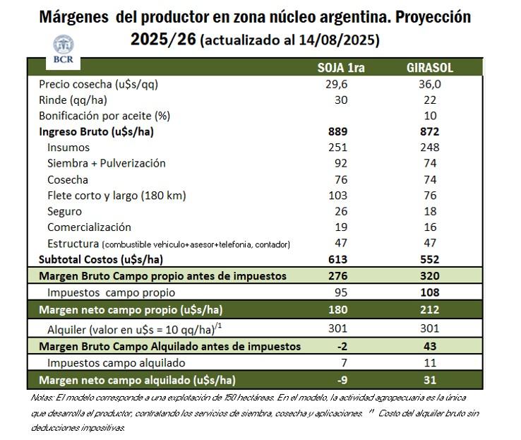 region nucleo 