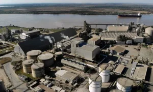 ¿Quién se queda con Vicentin?