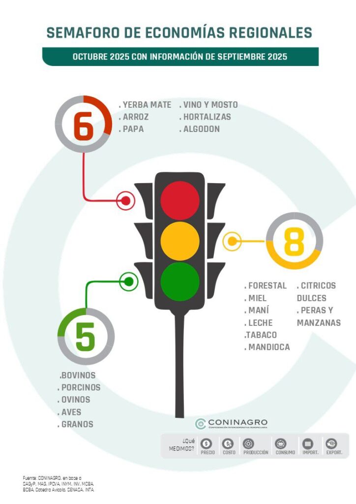 WhatsApp Image 2025 11 07 at 10.13.38 AM 724x1024 1