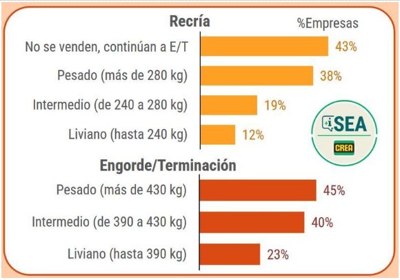 Ganadería argentina